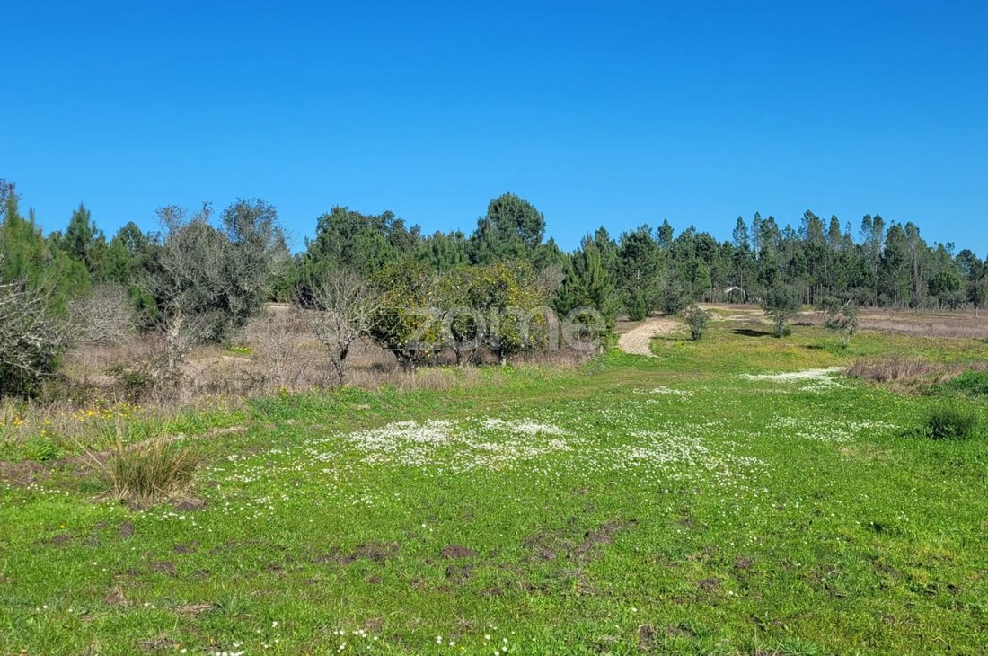 Terreno a Santana do Mato, Distretto di Santarém, Portogallo 1 - 15492953