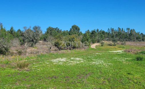 Land in Santana do Mato, Distrikt Santarém, Portugal 1