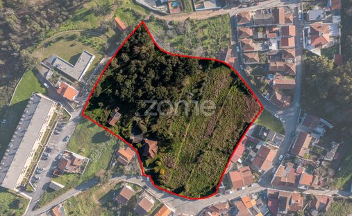Finca in Fanzeres e Sao Pedro da Cova, Porto District, Portugal 1