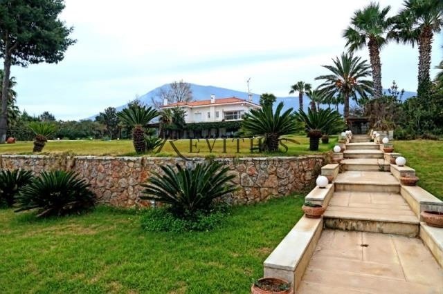 Villa a Anthidon Municipal Commune, Anthidon, Grecia 3 - 15792549