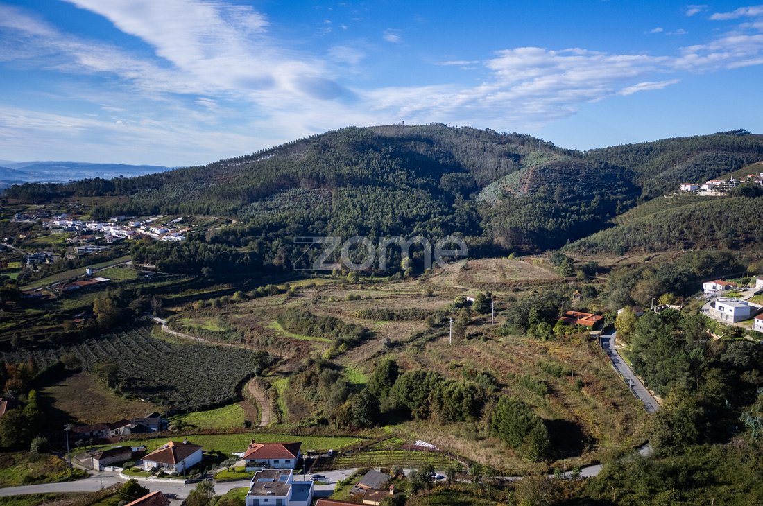Finca in Idaes, Porto District, Portugal 2 - 14947225