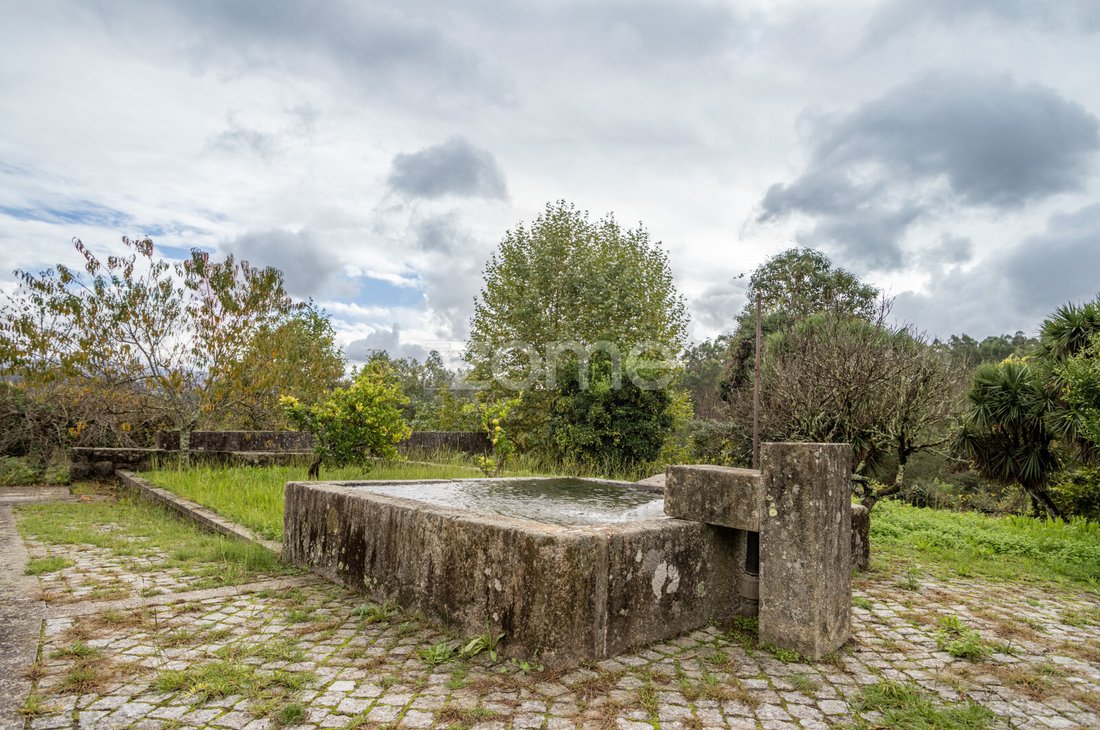 Finca à Pacos, Braga, Portugal 1 - 14884482