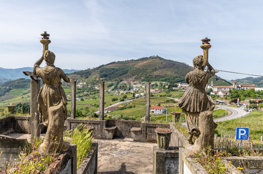 Finca in Mesao Frio (Santo Andre), Vila Real District, Portugal 1 - 15697940