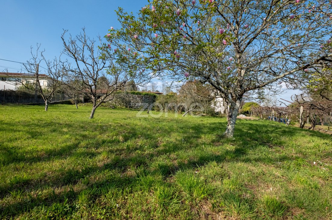 Finca in Paredes, Porto District, Portugal 4 - 15459860