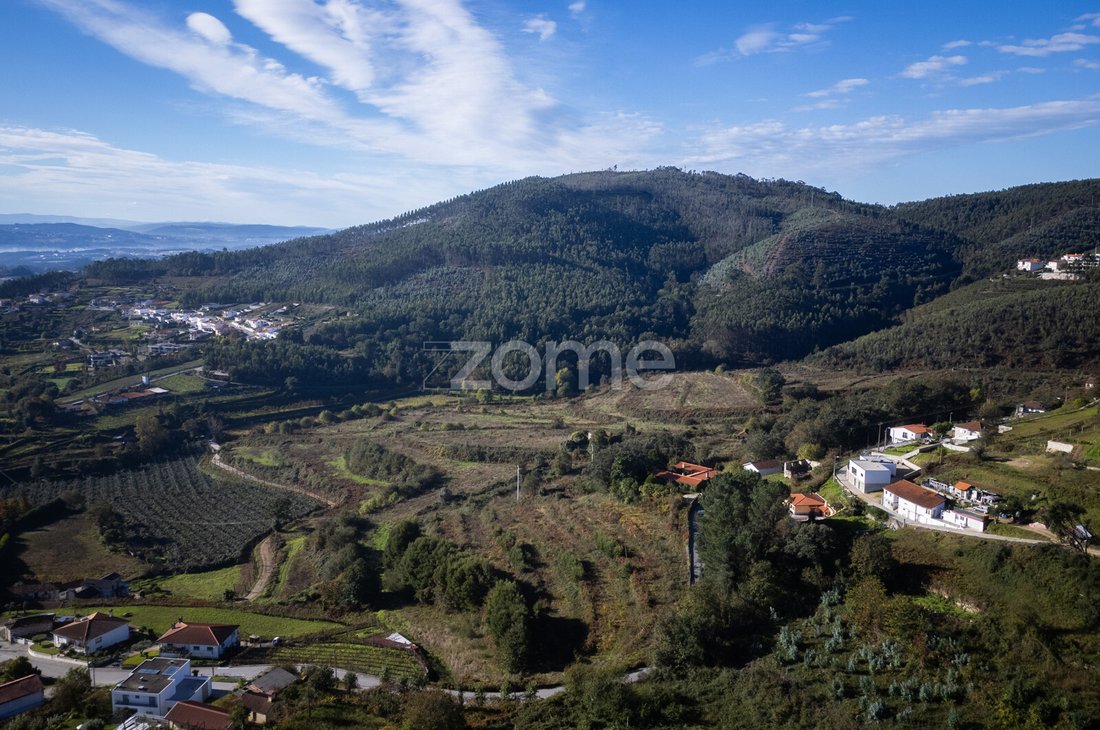 Finca in Idaes, Porto District, Portugal 4 - 14947225
