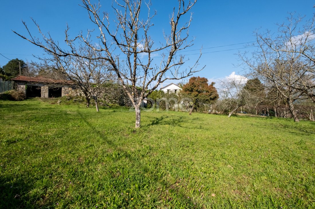 Finca in Paredes, Porto District, Portugal 2 - 15459860