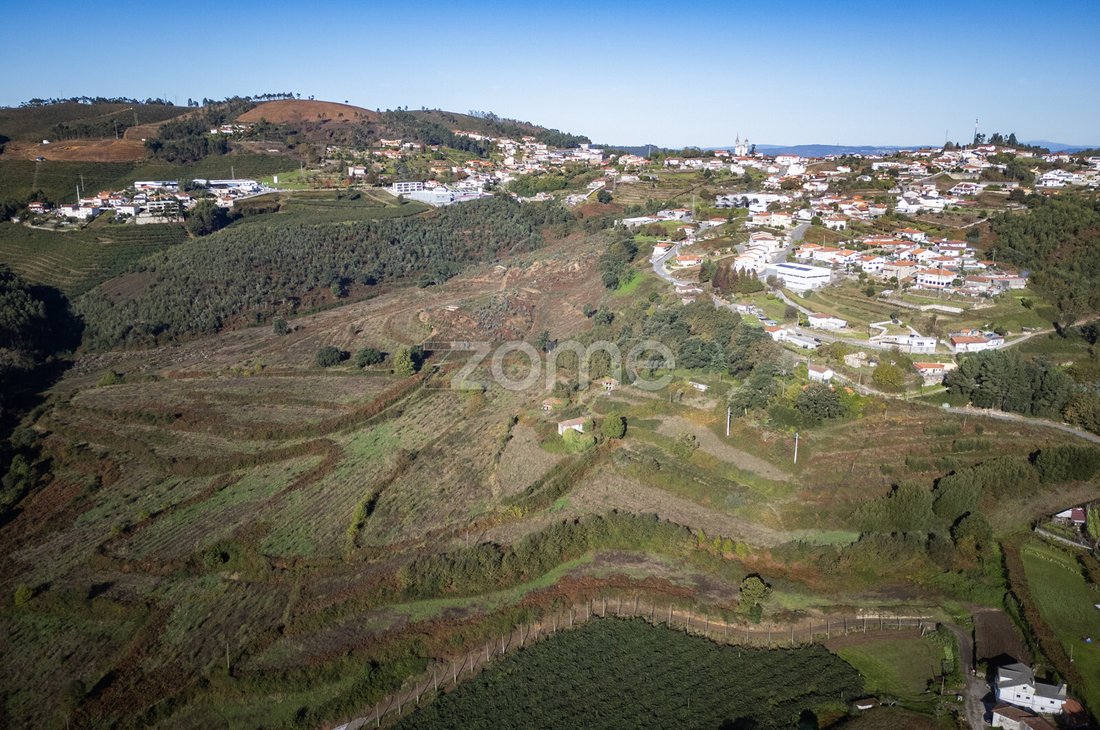 Finca in Idaes, Porto District, Portugal 3 - 14947225