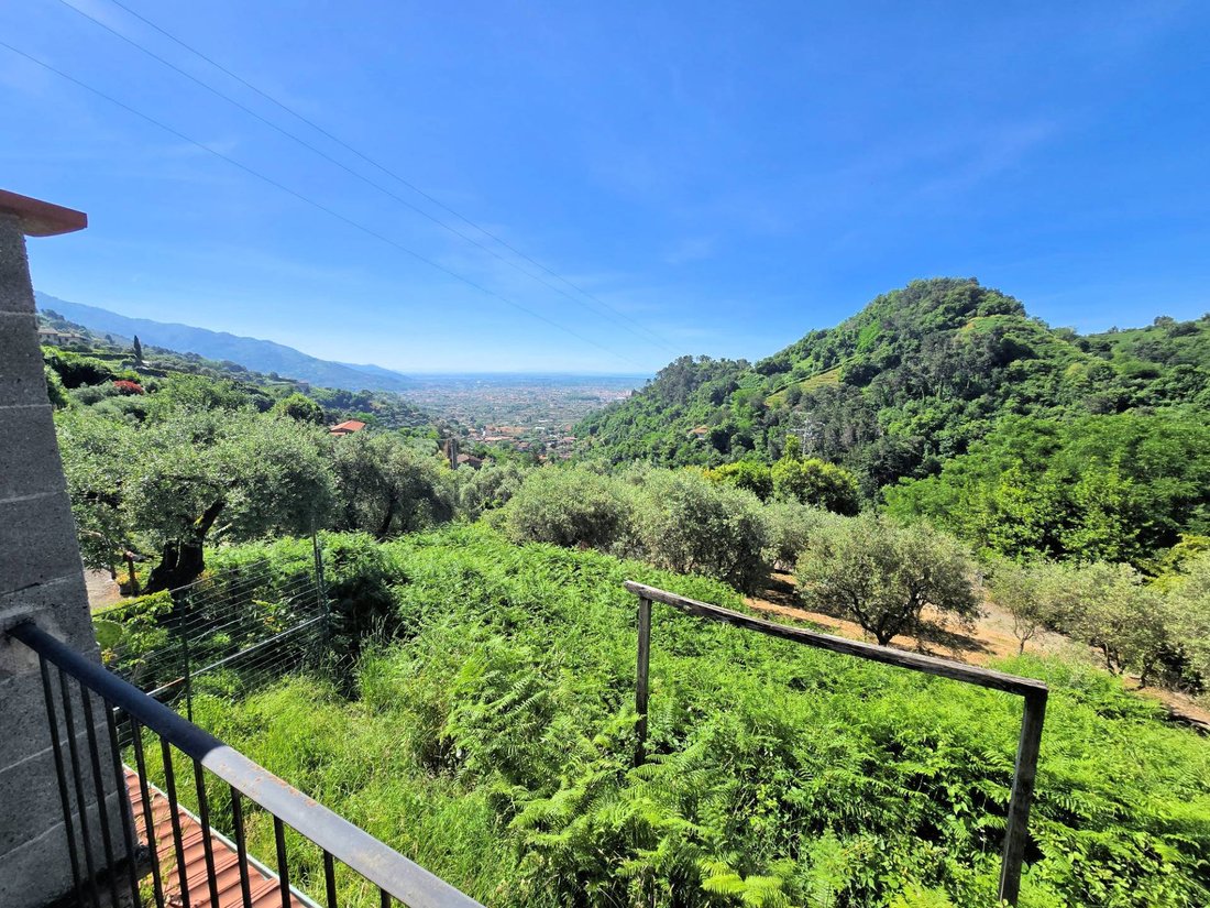 House in Pietrasanta, Tuscany, Italy 3 - 15793914