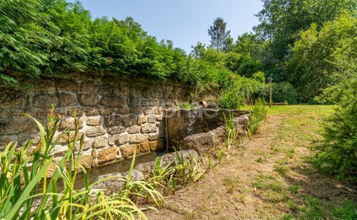 Finca à Ovoa e Vimieiro, Viseu, Portugal 1