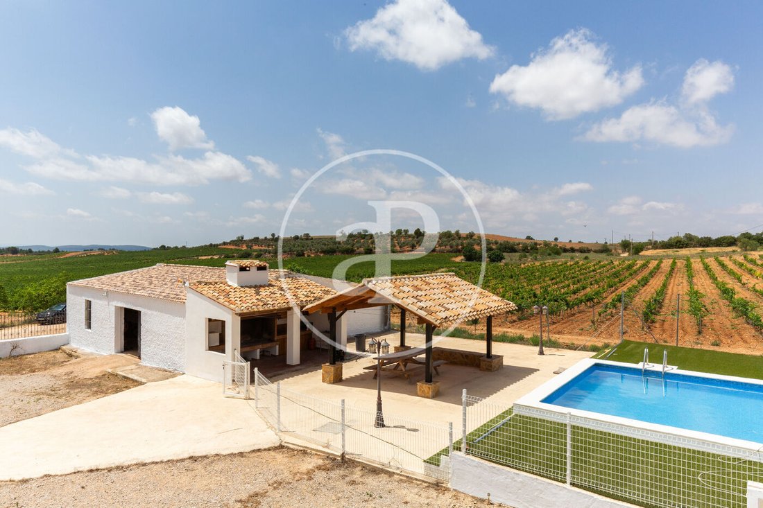Land in Utiel, Valencian Community, Spain 5 - 15774642