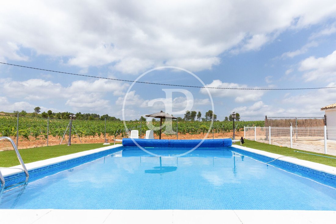 Land in Utiel, Valencian Community, Spain 4 - 15774642