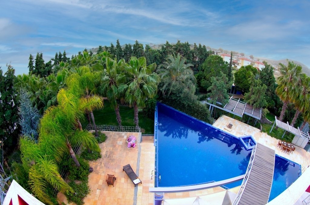 Villa in Dirfyon - Messapion, Thessaly and Central Greece, Greece 2 - 15796290