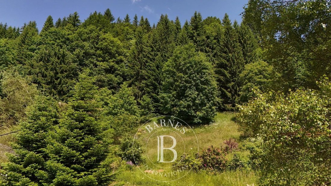 Land in Les Gets, Auvergne-Rhône-Alpes, France 1 - 15796770