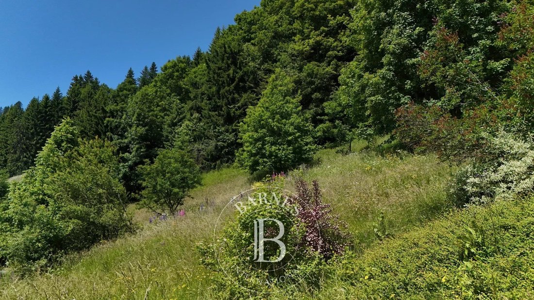 Land in Les Gets, Auvergne-Rhône-Alpes, France 2 - 15796770