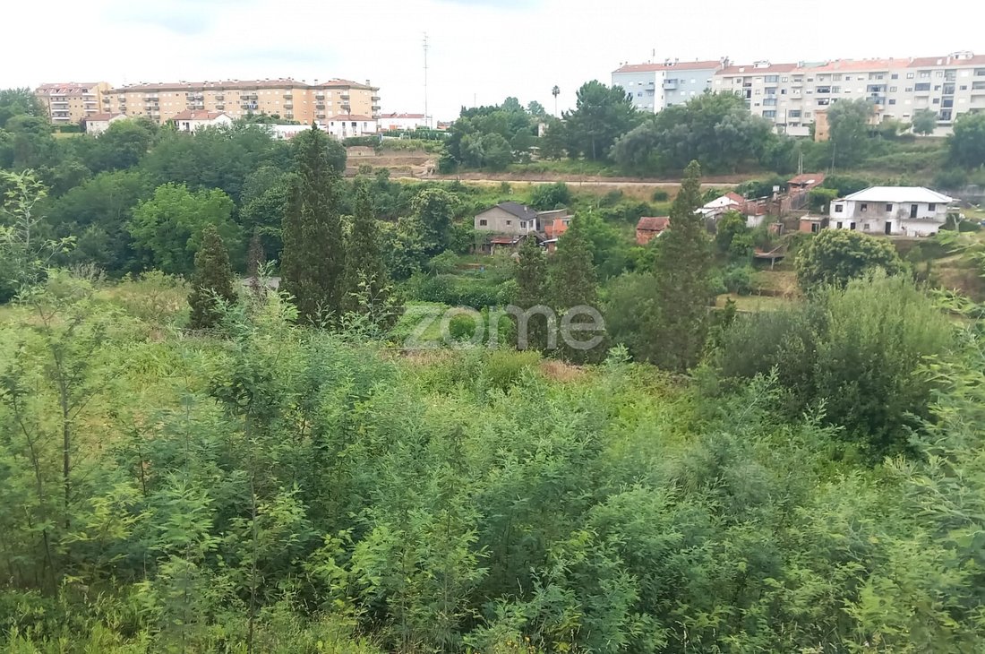 Land in Agueda e Borralha, Aveiro District, Portugal 1 - 14373066