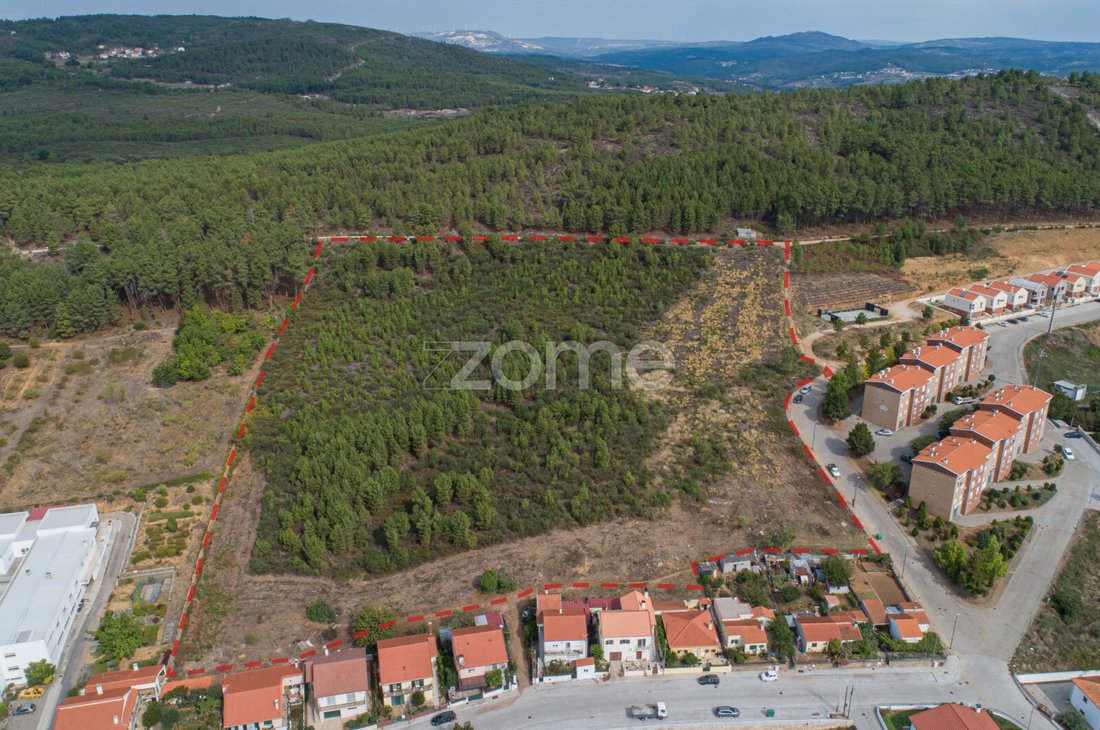 Land in Sabrosa, Vila Real, Portugal 1 - 12421599