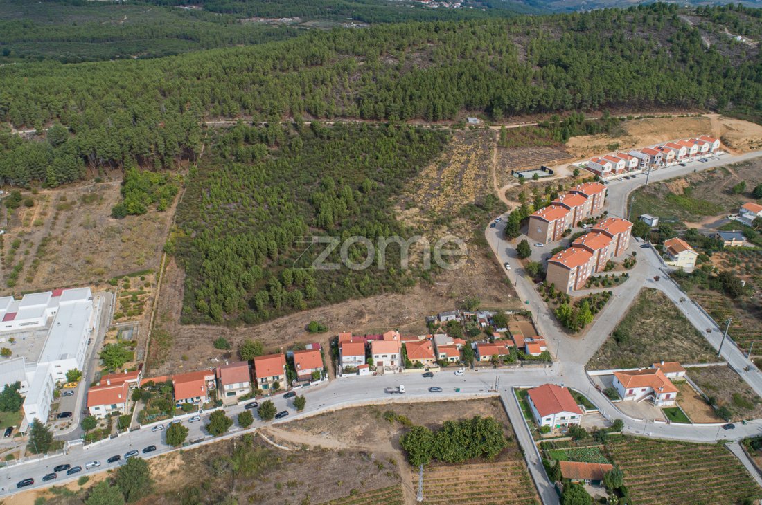 Land in Sabrosa, Vila Real, Portugal 3 - 12421599