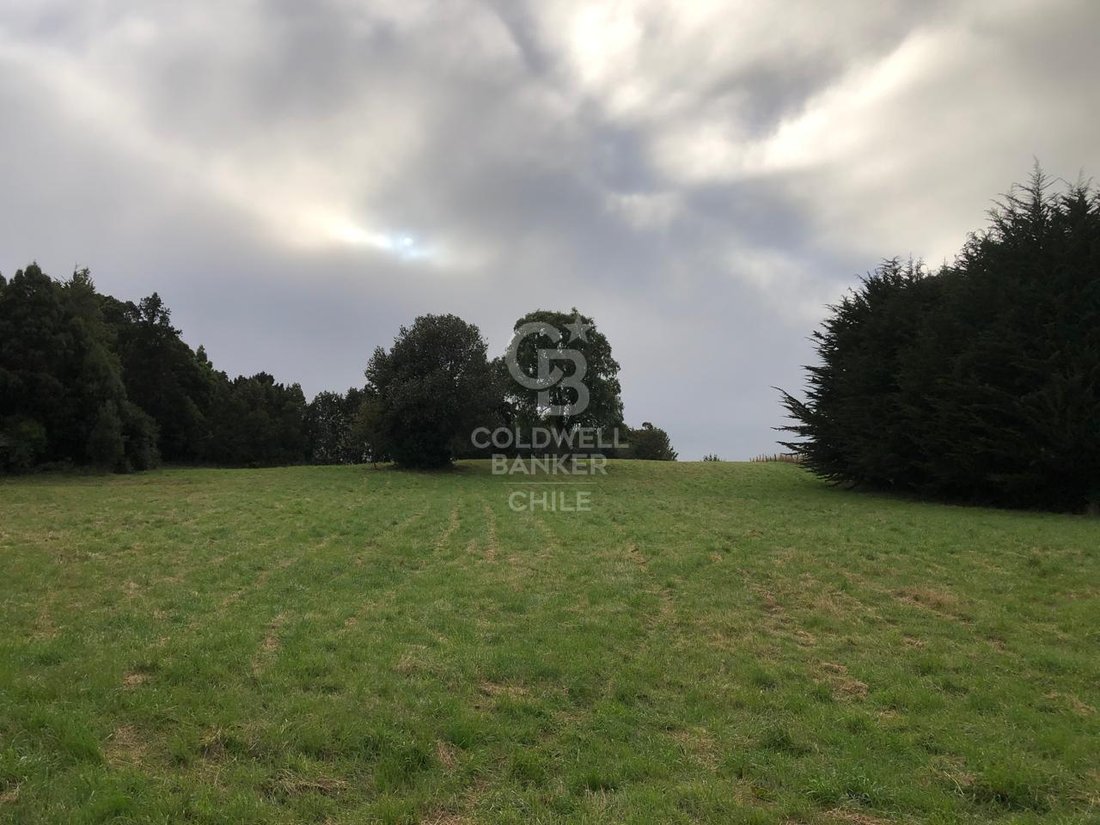 Domaine à Alerce, Les Lacs, Chili 3 - 15799173