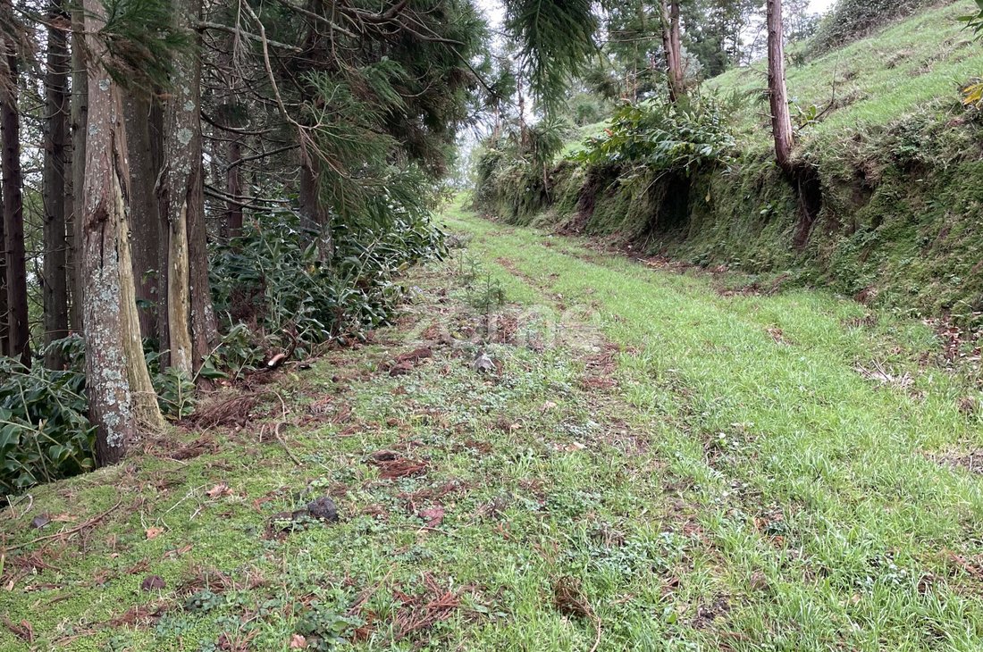 Land in Ribeira Grande (Conceicao), Azores, Portugal 5 - 12676474