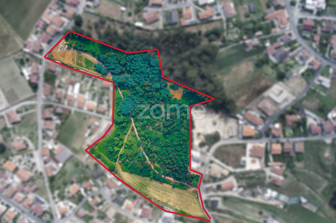 Land in Areias, Sequeiro, Lama e Palmeira, Distrikt Porto, Portugal 2 - 12934326