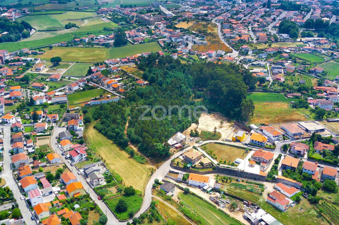 Land in Areias, Sequeiro, Lama e Palmeira, Porto District, Portugal 1 - 12934326