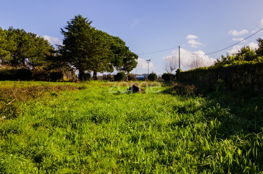 Land in Antas, Braga, Portugal 1 - 12463946