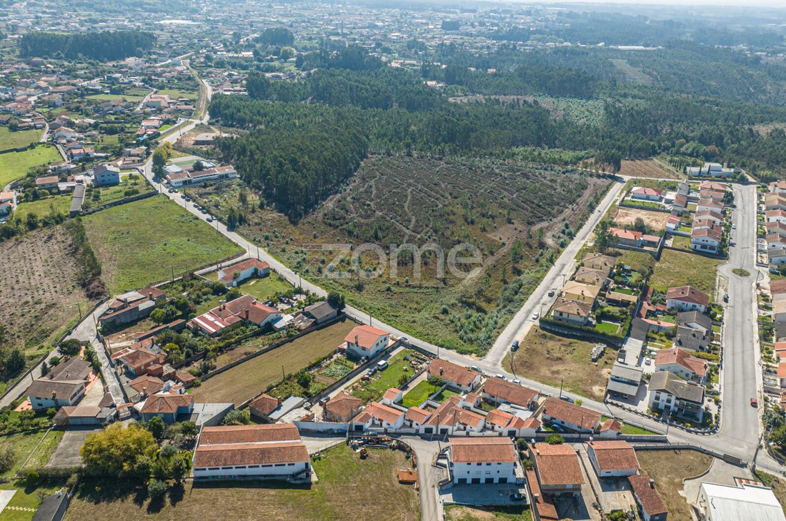 Land in Pinheiro da Bemposta, Travanca e Palmaz, Aveiro District, Portugal 4 - 13349812