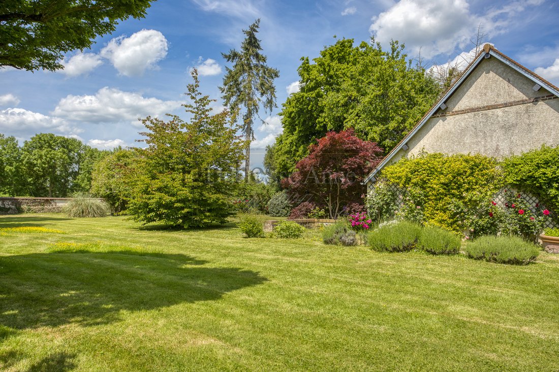 Whispers of 1750: A Sunlit Haven Where Vines Embrace Stone