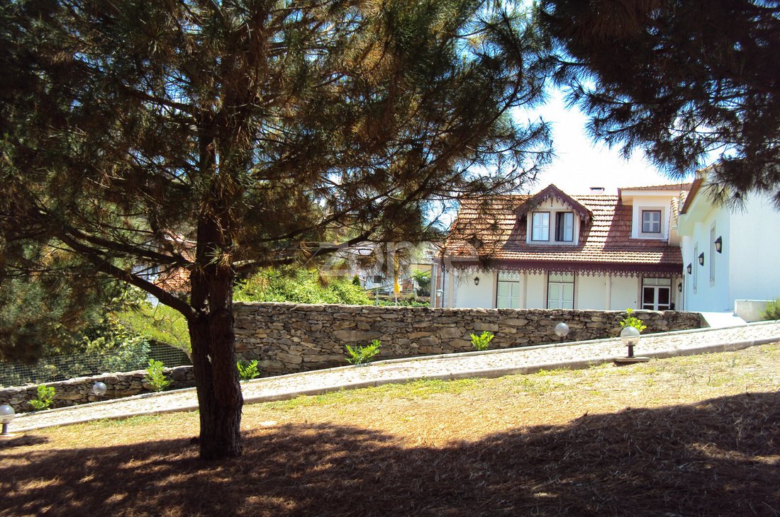 Finca à Ervedosa do Douro, Viseu, Portugal 5 - 13059152