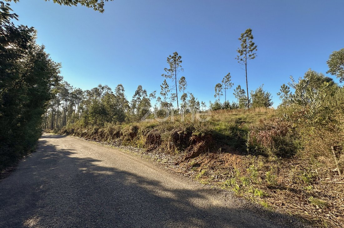 Terreno a Argoncilhe, Distretto di Aveiro, Portogallo 1 - 15033051