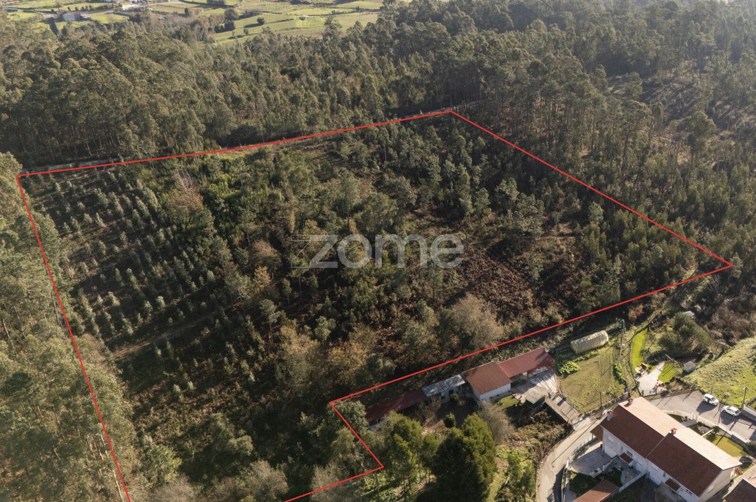 Land in Argoncilhe, Aveiro District, Portugal 1 - 15033051