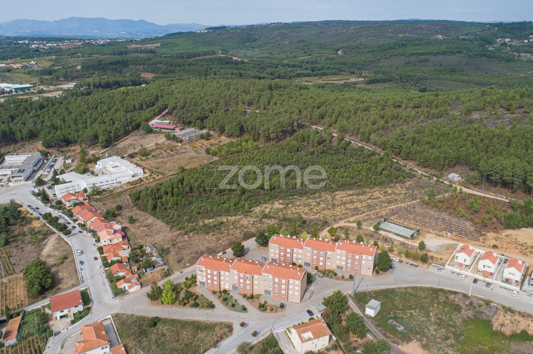 Land in Sabrosa, Vila Real, Portugal 5 - 12421599
