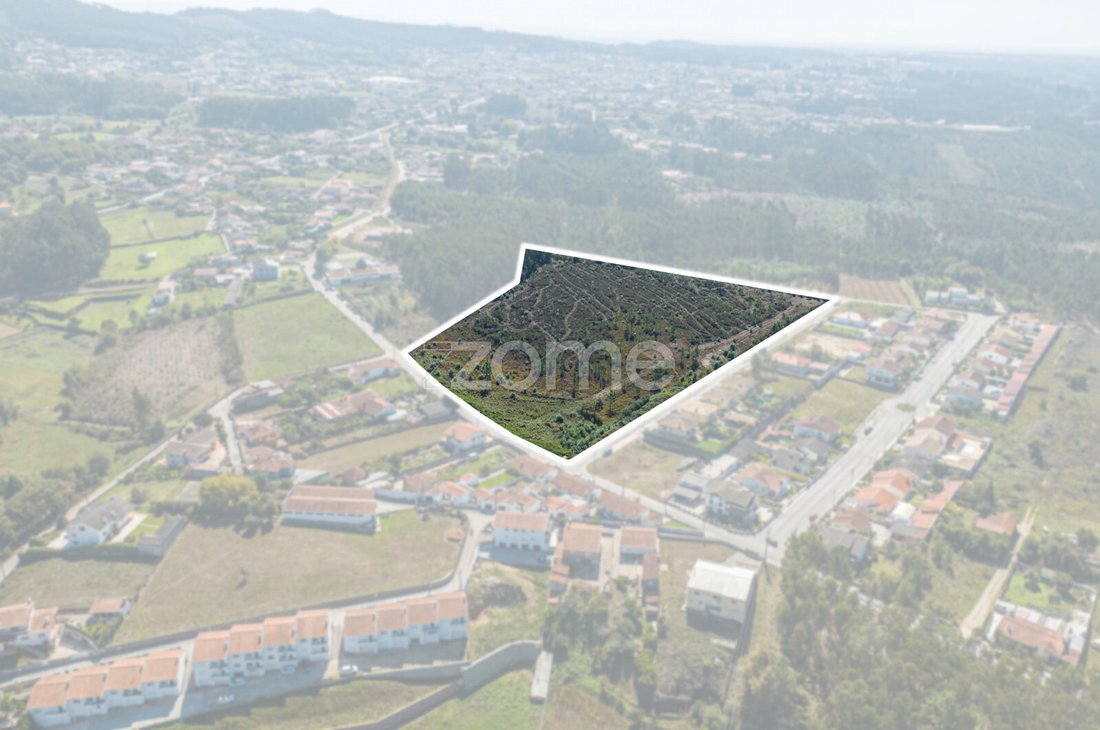 Land in Pinheiro da Bemposta, Travanca e Palmaz, Aveiro District, Portugal 1 - 13349812
