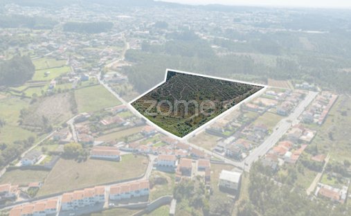 Land in Pinheiro da Bemposta, Travanca e Palmaz, Aveiro District, Portugal 1