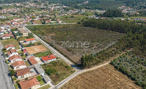 Land in Pinheiro da Bemposta, Travanca e Palmaz, Aveiro, Portugal 1