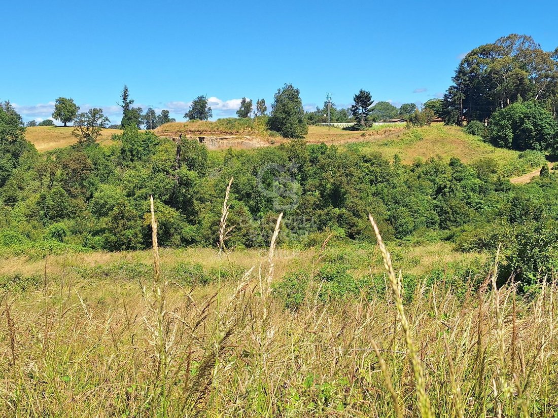 Land in Osorno, Los Lagos, Chile 3 - 15799729