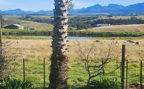 Farm Ranch in George, Western Cape, South Africa 1