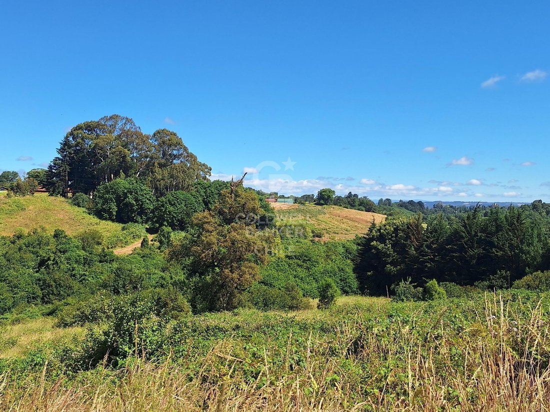 Land in Osorno, Los Lagos, Chile 4 - 15799729