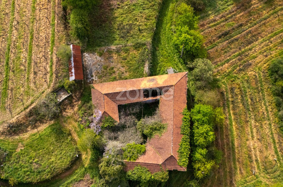 Finca in Sobrosa, Porto District, Portugal 4 - 15493475