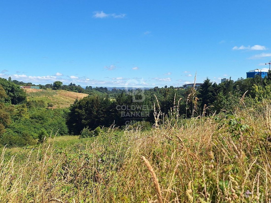Land in Osorno, Los Lagos, Chile 2 - 15799729