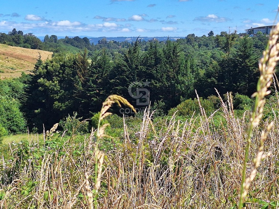 Land in Osorno, Los Lagos, Chile 5 - 15799729