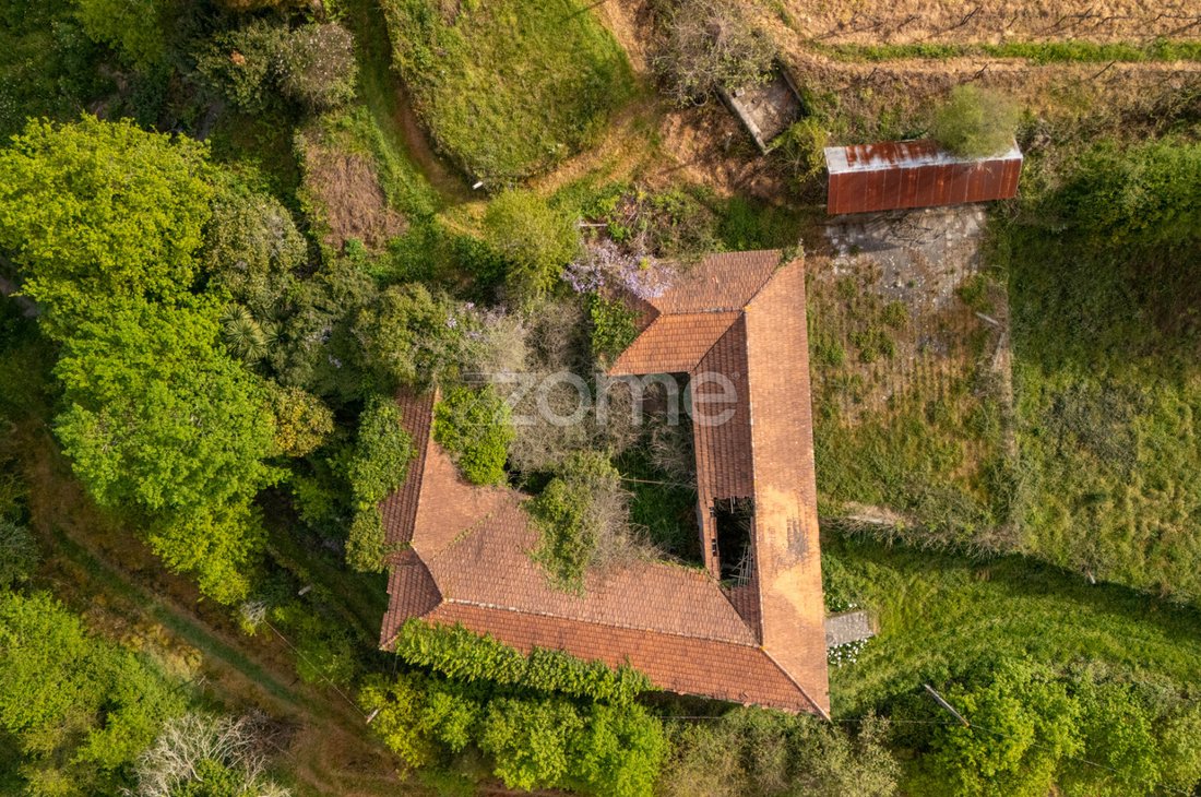 Finca in Sobrosa, Porto District, Portugal 5 - 15493475