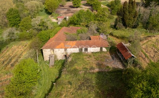 Finca a Sobrosa, Oporto, Portogallo 1