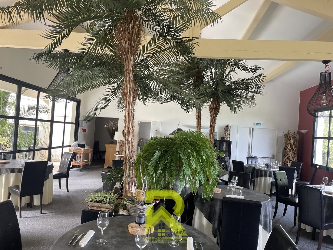 Le Domaine des Rêves: A Provençal Castle Where Commerce Meets Romance