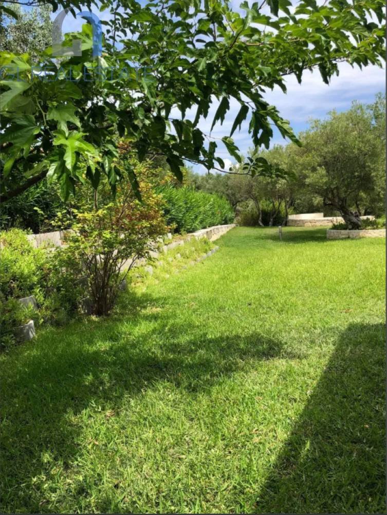 House in Pallini Municipal Unit, Macedonia and Thrace, Greece 4 - 15800100