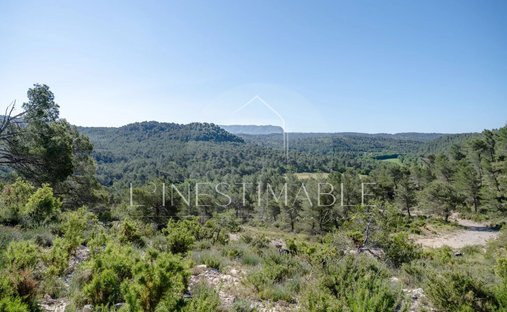 Castle for Sale in Les Herbiers, Pays de la Loire, France