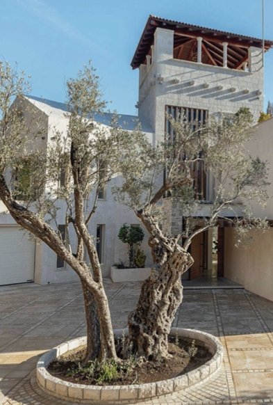 Villa in Donja Lastva, Tivat Municipality, Montenegro 4 - 15800722