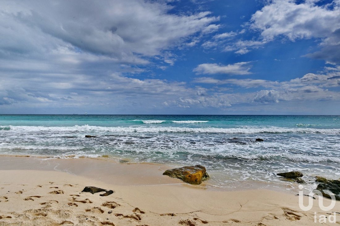 Land in Puerto Morelos, Quintana Roo, Mexico 1 - 15802981