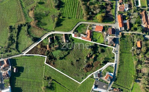 Terrain à Croca, District de Porto, Portugal 1