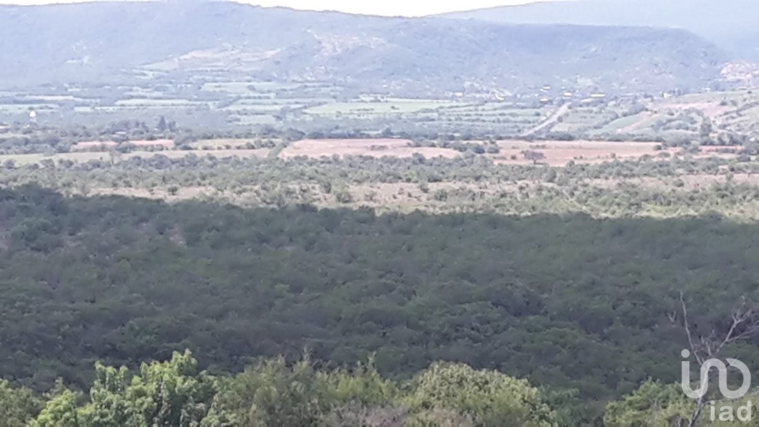 Farm Ranch in San Juan Temascatío, Guanajuato, Mexico 3 - 15803760